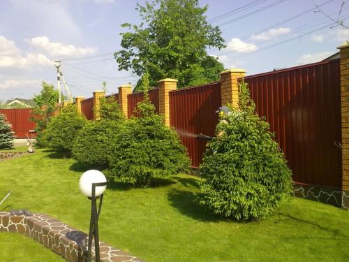 Озеленение дачного участка своими руками. Озеленение участка – идеи по обустройству территории и варианты современного ландшафтного дизайна