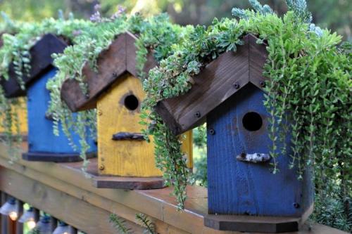 Украшения для сада своими руками оригинальные задумки. 90 идей украшений для сада своими руками (фото)