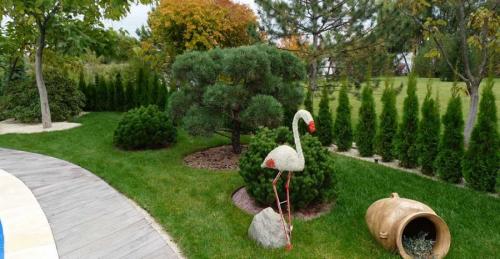 Озеленение дачного участка своими руками. Озеленение участка – идеи по обустройству территории и варианты современного ландшафтного дизайна