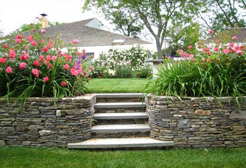 Озеленение дачного участка своими руками. Озеленение участка – идеи по обустройству территории и варианты современного ландшафтного дизайна