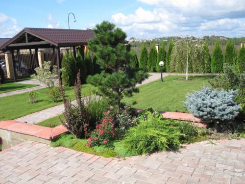 Озеленение дачного участка своими руками. Озеленение участка – идеи по обустройству территории и варианты современного ландшафтного дизайна