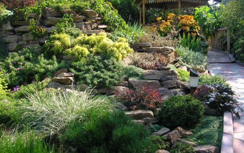 Озеленение дачного участка. Декоративное озеленение участка: создание красоты 04