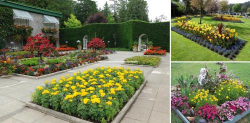 Варианты клумб на даче своими руками. Цветники и клумбы на даче (фото)