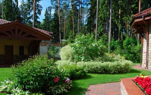 Озеленение дачного участка. Декоративное озеленение участка: создание красоты 01