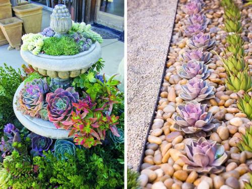 Варианты клумб на даче своими руками. Цветники и клумбы на даче (фото)