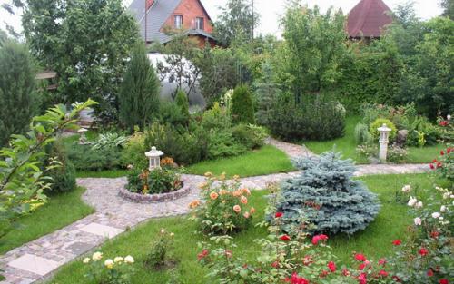 Озеленение дачного участка. Декоративное озеленение участка: создание красоты 07