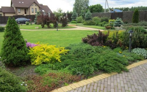 Озеленение дачного участка. Декоративное озеленение участка: создание красоты 06