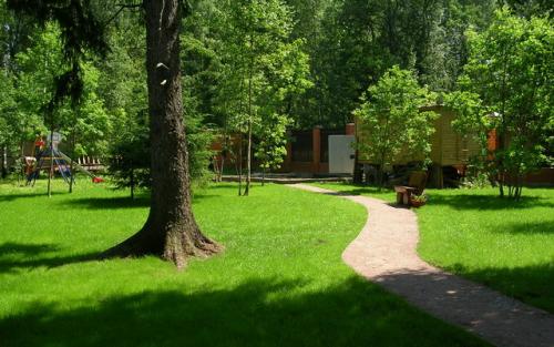 Озеленение дачного участка. Декоративное озеленение участка: создание красоты 05