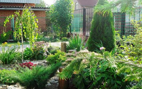 Озеленение дачного участка. Декоративное озеленение участка: создание красоты 12