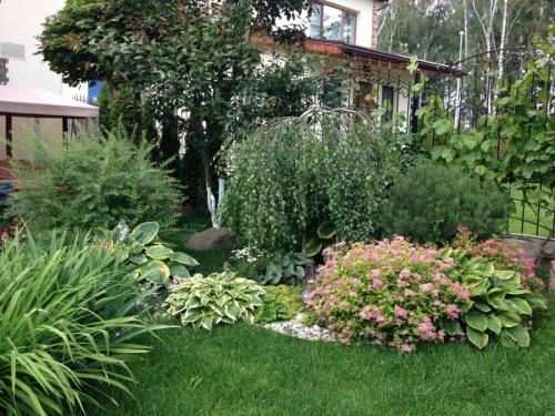 Озеленение дачного участка своими руками. Озеленение участка – идеи по обустройству территории и варианты современного ландшафтного дизайна