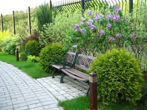 Озеленение дачного участка своими руками. Озеленение участка – идеи по обустройству территории и варианты современного ландшафтного дизайна