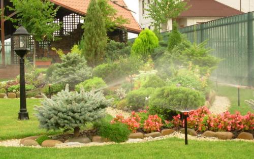 Озеленение дачного участка. Декоративное озеленение участка: создание красоты 02