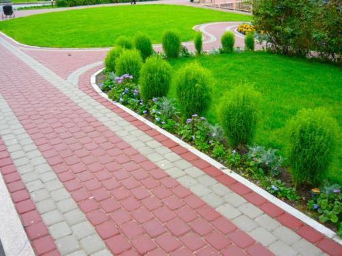 Озеленение дачного участка своими руками. Озеленение участка – идеи по обустройству территории и варианты современного ландшафтного дизайна