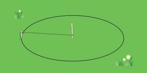 Прямоугольная клумба, как оформить. Особенности создания красивых клумб на участке