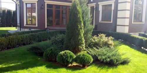 Озеленение дачного участка своими руками. Озеленение участка – идеи по обустройству территории и варианты современного ландшафтного дизайна