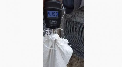 Гусята линда. Гуси Линда: содержание и уход, таблица веса, фото и видео породы