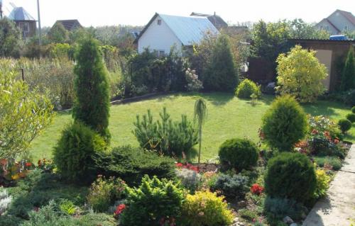 Какие деревья можно посадить возле дома для красоты. Какое дерево посадить возле дома — узнайте, какие деревья создадут уют и успокаивающее умиротворение в вашем саду! (фото и видео)