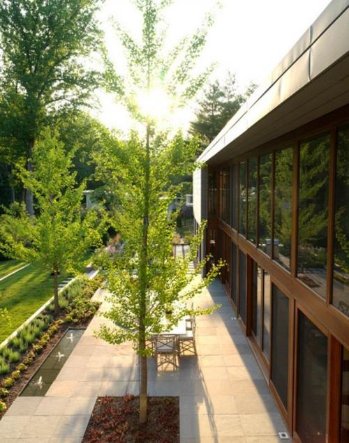 Какие деревья можно посадить возле дома для красоты. Какое дерево посадить возле дома — узнайте, какие деревья создадут уют и успокаивающее умиротворение в вашем саду! (фото и видео)