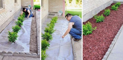 Клумбы на участке. Цветники и клумбы на даче (фото)