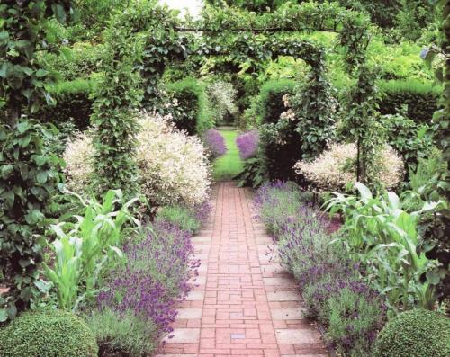 Цветники из многолетников на даче. Как сделать клумбу из многолетников: разновидности клумб, советы дизайнеров, как скомпоновать цветы на клумбе. Создаем непрерывно цветущую клумбу на даче своими руками