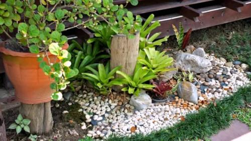 Как оформить палисадник перед домом. Палисадник своими руками: из подручных средств, как оформить цветами, советы по выбору растений, примеры оформления (135 фото)