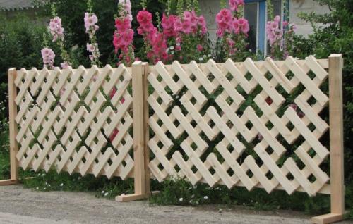 Как обустроить двор частного дома в сельской местности. Чем разграничить зоны в саду