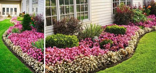 Клумбы на участке. Цветники и клумбы на даче (фото)