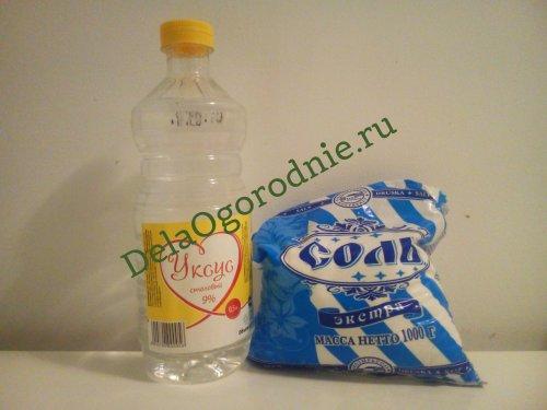 Уксус и соль от сорняков отзовик. Борьба с сорняками с использованием уксуса и соли