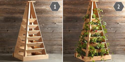 Клумбы на участке. Цветники и клумбы на даче (фото)