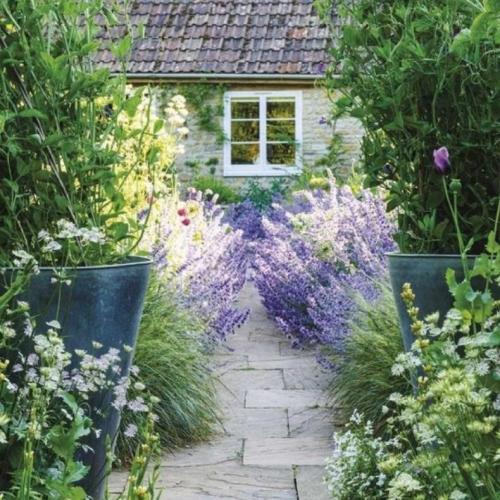 Как оформить палисадник перед домом. Палисадник своими руками: из подручных средств, как оформить цветами, советы по выбору растений, примеры оформления (135 фото)