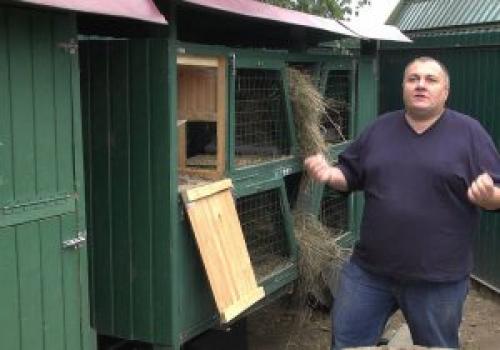 Кролятники своими руками. Место для крольчатника