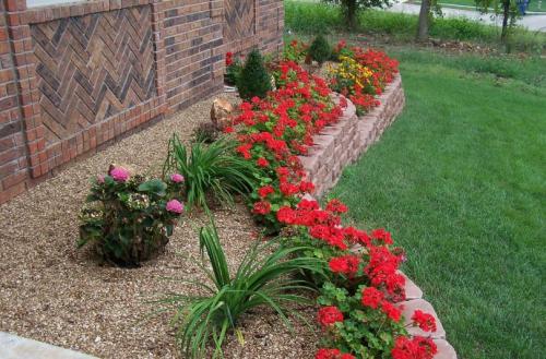 Рабатка из многолетников. Рабатка своими руками — смотрите красивые примеры посадки и оформления клумб, лучшие идеи смотрите на фото!
