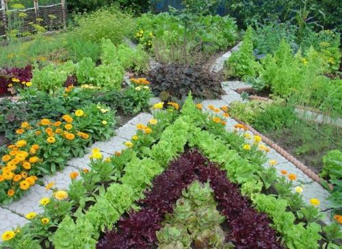 Рабатка из многолетников. Рабатка своими руками — смотрите красивые примеры посадки и оформления клумб, лучшие идеи смотрите на фото!