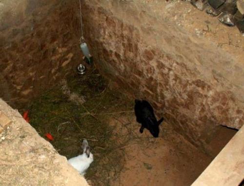 Кролятники своими руками дешевый. Виды конструкций крольчатников