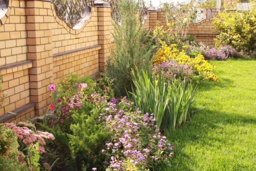 Какие цветы посадить вдоль забора, чтобы цвели все лето. Идеи организации ландшафта с цветником вдоль забора