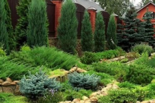 На каком расстоянии от дома безопасно сажать деревья. Нормативная база для высадки саженцев вблизи домов 18 На каком расстоянии от дома безопасно сажать деревья. Нормативная база для высадки саженцев вблизи домов 18