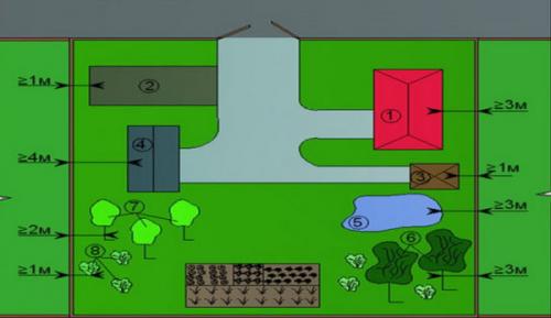 На каком расстоянии от фундамента можно сажать деревья. Дерево рядом с домом нормы