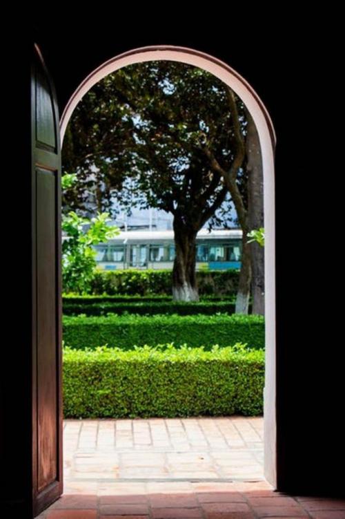 Какие деревья нельзя сажать возле дома. Какие деревья лучше не сажать на участке? 12