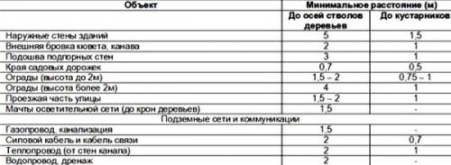 На каком расстоянии от фундамента можно сажать деревья. Дерево рядом с домом нормы
