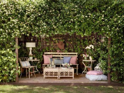 Названия вьющихся растений. Вьющееся растение для сада: фото с названиями