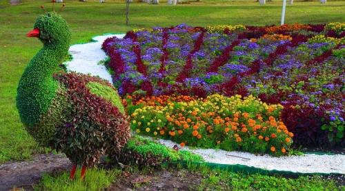 Клумбы необычной формы. Красивые клумбы — варианты оформления, правила организации, выбор места, советы новичкам + 99 фото