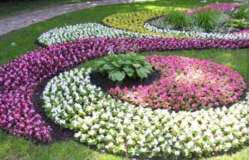Клумбы необычной формы. Красивые клумбы — варианты оформления, правила организации, выбор места, советы новичкам + 99 фото