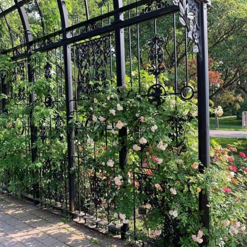 Создай свою садовую шпалеру из металла: простой способ 04 Создай свою садовую шпалеру из металла: простой способ 04