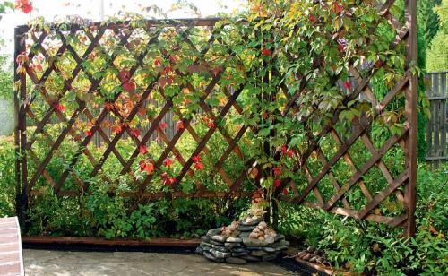 Создай свою садовую шпалеру из металла: простой способ 08 Создай свою садовую шпалеру из металла: простой способ 08