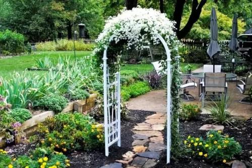 Создай свою садовую шпалеру из металла: простой способ 23 Создай свою садовую шпалеру из металла: простой способ 23