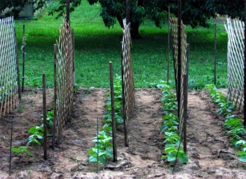 Создай свою садовую шпалеру из металла: простой способ 07 Создай свою садовую шпалеру из металла: простой способ 07