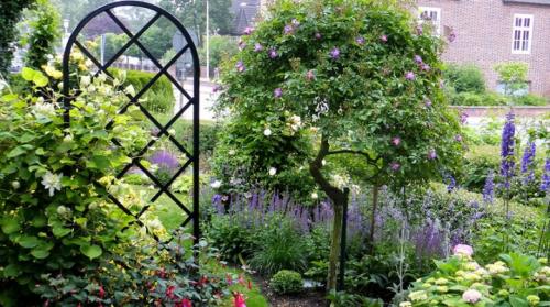 Создай свою садовую шпалеру из металла: простой способ 02 Создай свою садовую шпалеру из металла: простой способ 02