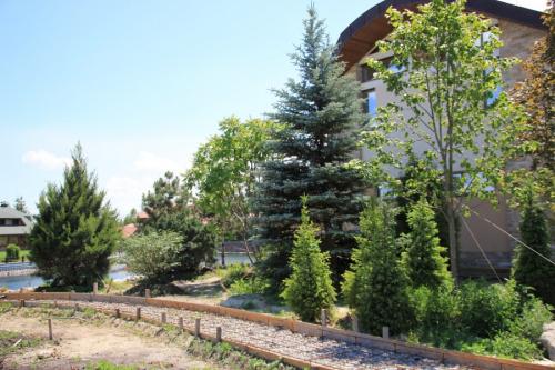 Какие деревья лучше сажать возле дома приметы и суеверия. Деревья возле дома — виды которые можно и нельзя сажать. 100 фото лучших вариантов для посадки