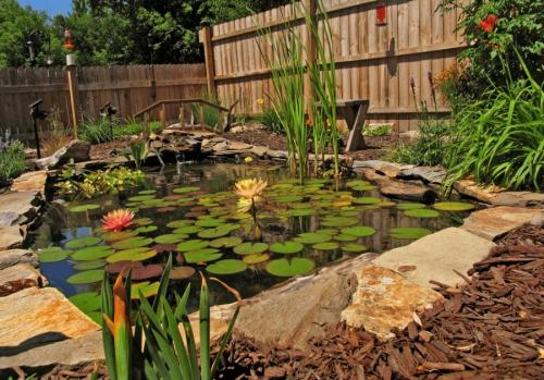 Пруд на даче своими руками ландшафтные идеи. Пруд на даче: подробная пошаговая инструкция, как выкопать и оформить пруд своими руками (105 фото)