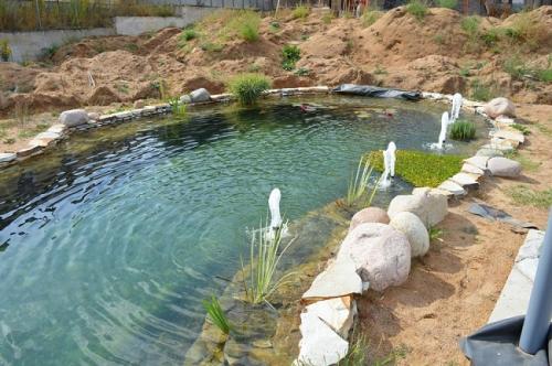 Декоративный пруд на даче своими руками. Выбор места расположения